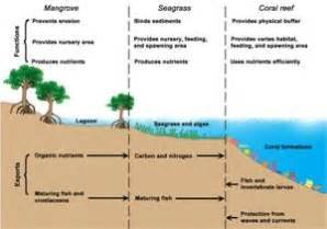 bahan kuliah ekosistem wilayah pesisir
