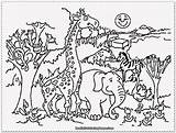 Zoo Coloring Animal Pages Preschool Titan Posted Realistic sketch template