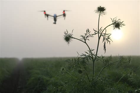 texas threatens jail time  flying drones  critical infrastructure