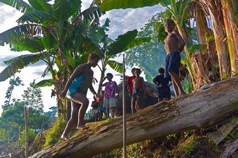 jungle trekking and unseen rituals in papua new guinea cookson adventures