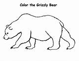 Grizzly Bear Coloring Drawing Draw Step Clipartmag Pages Realistic 51kb 464px sketch template