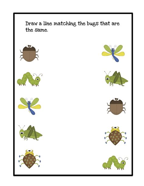 bug pattern cards  boys preschool printables