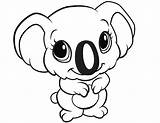 Coloring Colouring Animal Pages Easy Drawing Animals Kids Cute Simple Print Cartoon Template Koala Color Printable Puppy Drawings Draw Children sketch template
