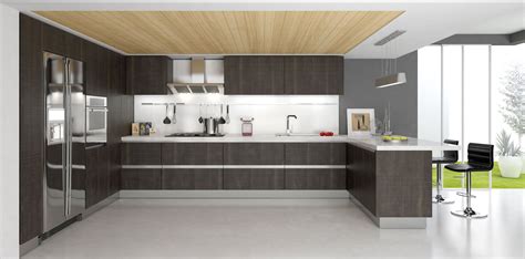 prime examples  modern kitchen cabinets