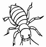 Bug Beetle Insects Stink Utilising sketch template