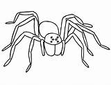 Spider Coloring Tarantula Pages Scary Creepy Color Getcolorings Printable sketch template