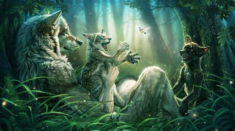 furry wolf wallpaper  images