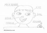 Senses Kindergarten sketch template