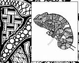 Zentangle Coloring Lizard Animal Colouring Chameleon Intricate Instant Pdf sketch template