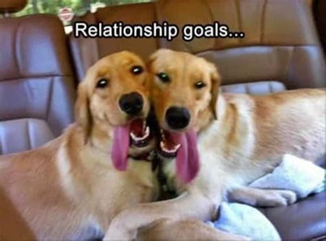 20 relationship memes that will give you all the feels if