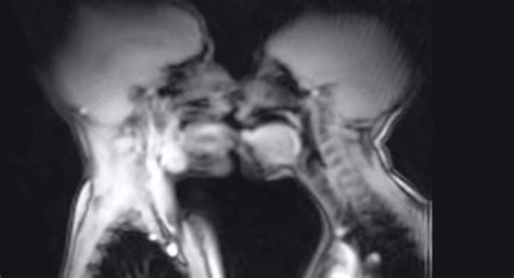 an inside view of sex mri scanner captures intercourse as