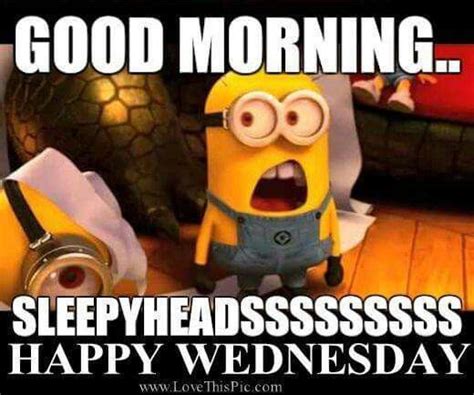 Hump Day With Images Minions Humor Funny Minion