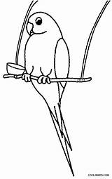 Papagei Ausmalbilder Malvorlagen sketch template