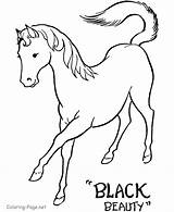 Coloring Horse Pages Beauty Print Pdf sketch template