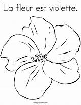 Coloring Violette Fleur Est La Flowers Outline Built California Usa Twistynoodle Noodle Cursive sketch template
