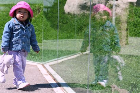 toddler reflection stock image image  spring glass