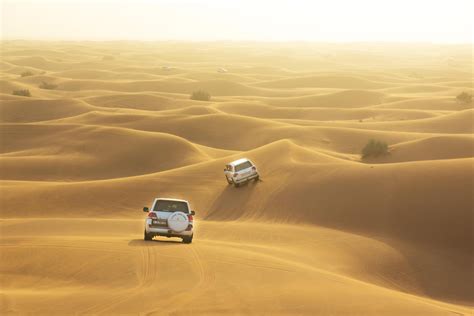 desert safari   images dubai desert dune bashing camel ride