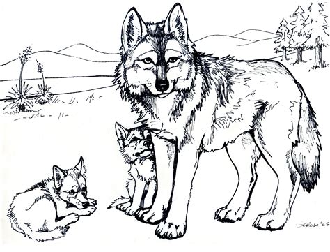 printable  wolf coloring pages  adults party time pinterest