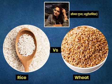 rice  wheat   le