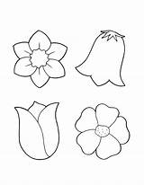 Flower Template Colour Coloring Drawings Clipart Pages Library Simple Easy sketch template