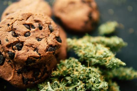 pot cookie recipes    year long leafbuyer