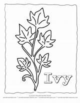 Ivy Coloring Leaf Leaves Printable Template Pages Drawing Stencils Plant Color Sheets Wonderweirded Crafts Wildlife Nature Pree Drawings Teacher Popular sketch template