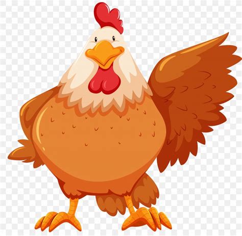 chicken flashcard stock photography png xpx chicken beak