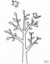 Coloring Tree Spring Pages Printable Drawing sketch template