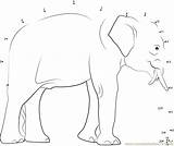 Elephant Dots Connect Dot Male Indian Worksheet Kids Animals Printable Coloring Elephants Asian Pdf Print Connectthedots101 Email Worksheets sketch template