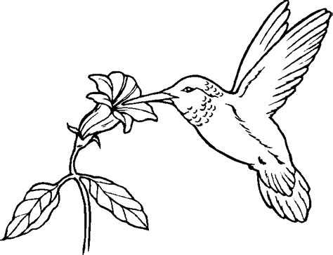 bird coloring pages  coloringkidsorg