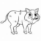 Hog Boar sketch template