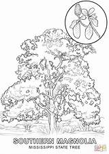 Tree Coloring State Mississippi Pages Symbols Printable Color Drawing River Supercoloring Getcolorings Categories sketch template