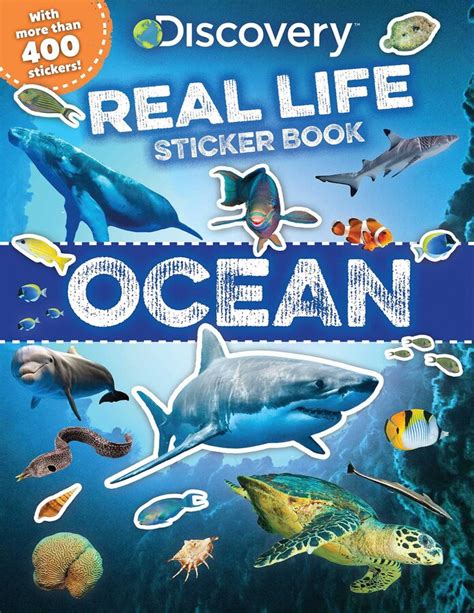 Discovery Real Life Sticker Book Ocean Book By Courtney Acampora