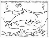 Golfinho Colorir Dolphin Tudodesenhos sketch template
