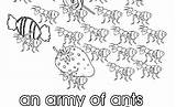 Collective Army Ants Colouring Coloring Ant Colony Nouns Pages Worksheet Verbs Noun Print Worksheets Birds Activities Worksheeto sketch template