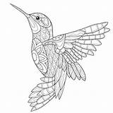 Coloring Pages Hummingbird Adults Simple Mandalas Adult Bird Line Mandala Printable Drawing Book Print Sketch Beautiful Colorear Drawings Malvorlagen Easy sketch template