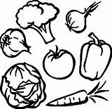 Sayuran Mewarnai Sketsa Sayur Kangkung Merupakan Ini sketch template