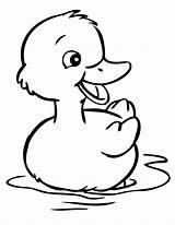 Coloring Pages Duck Duckling Template Cartoon Printable Ducks Clipart Rubber Cute Baby Drawing Sheets Templates Colouring sketch template