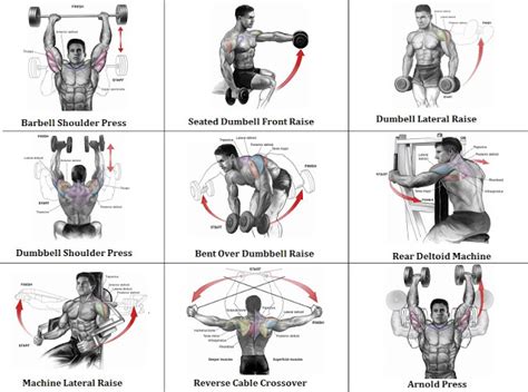 2 shoulder routines to get the best shoulder workout