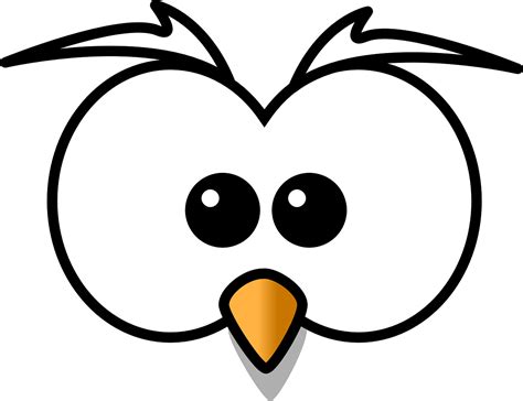 owl hoot head beak cartoon zoo transparent image hoot owl owl eyes owl