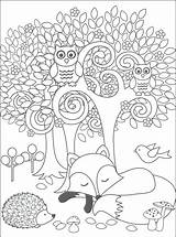 Coloring Animals Pages Woodland Forest Animal Adults Printable Creatures Color Crafts Getcolorings Template Getdrawings Choose Board sketch template