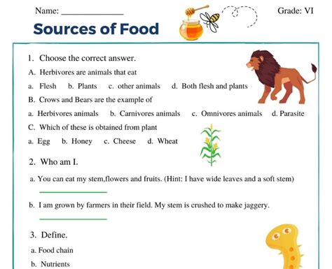 sources  food worksheet  class