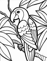 Tiere Malvorlagen Papagei Ast Katze Hängend sketch template