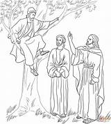 Coloring Jesus Zacchaeus Meets Pages Printable Tree Fig Zaccheus Bible Kids Supercoloring Color Sheets Come Door Knocking Print Craft Loves sketch template