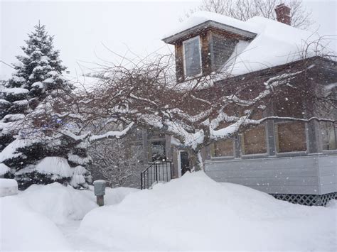 daily pics photographs  caren marie michel snow storm westbrook maine