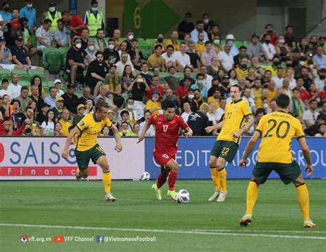 vietnam officially   world cup    loss  australia tuoi