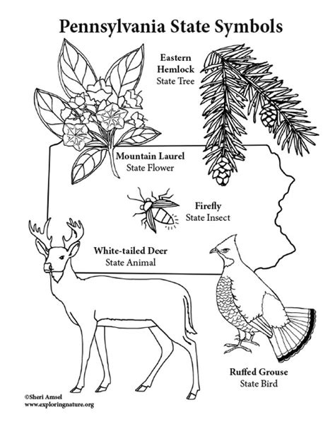 pennsylvania state symbols coloring page