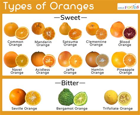 16 Types Of Oranges 22 Useful Infographics About Citrus Fruits
