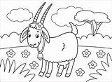 Coloring Goat Pages Goats Printable Animals Supercoloring Cartoon Categories Drawing sketch template