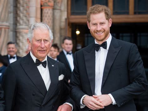 prince harry king charles reportedly  good terms  reunion